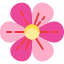 CrushChat icon